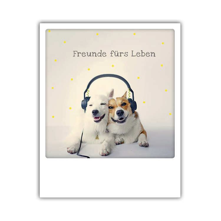 Pickmotion Photo-Postkarte Freunde Fürs Leben