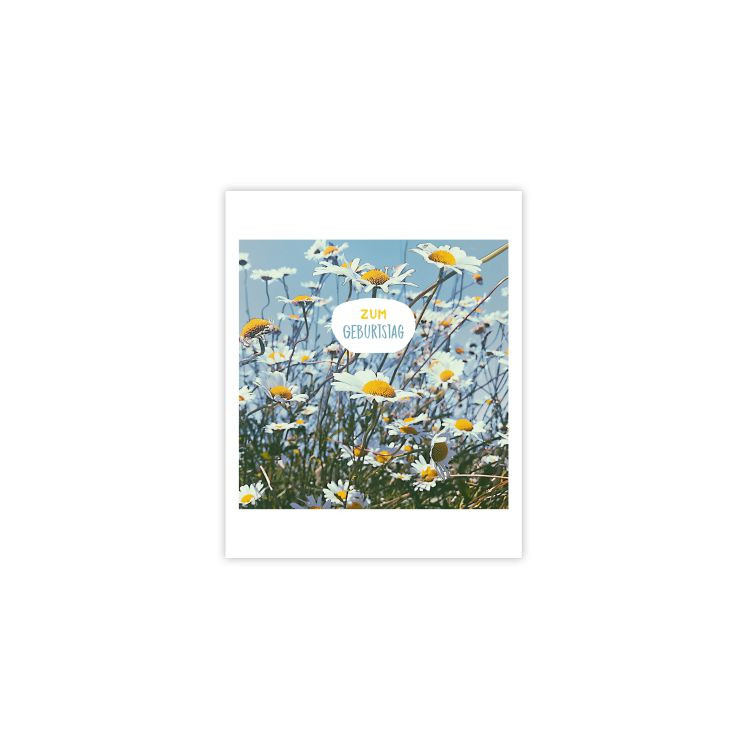 Pickmotion Photo-Postkarte Blumen-Geburtstag
