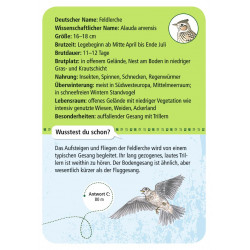 MOSES Kartenspiel- Expedition Natur - 50 heimische Vögel