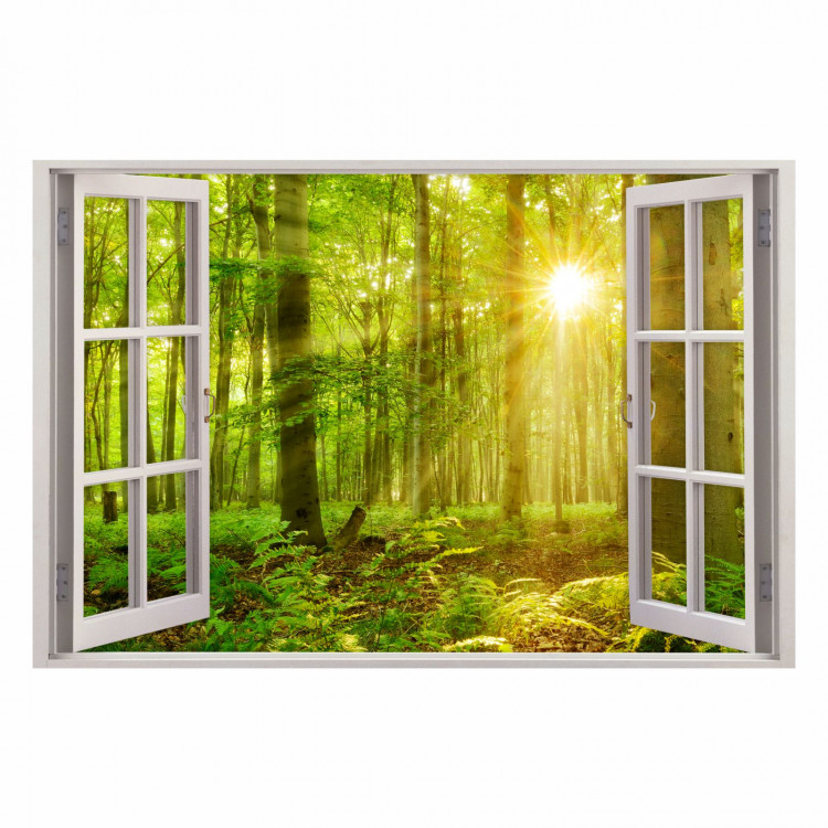 216 Wandtattoo Fenster - grüner Wald 2 Sonnenstrahlen