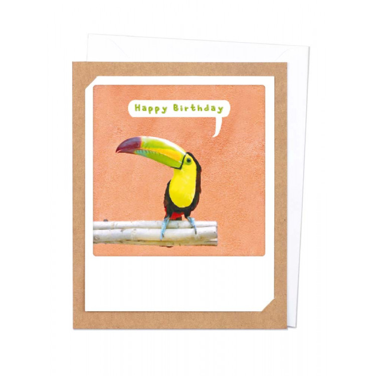 Pickmotion Photo-Klappkarte Happy Birthday Toucan (braun)