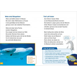 TESSLOFF Buch WAS IST WAS Erstes Lesen Band 1: Wale und Delfine