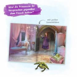 TRÖTSCH Der Froschkönig 64 Seiten Buch Geschichte