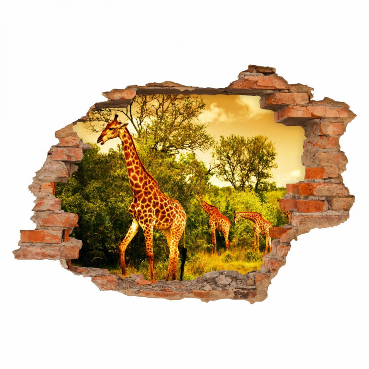 036 Wandtattoo Giraffen in Savanne - Loch in der Wand - Afrika