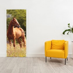 selbstklebendes Türbild - Pferd 0,9 x 2 m (16,66 €/m²) - Türtapete Türposter Klebefolie Dekorfolie