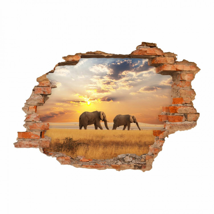 nikima - 091 Wandtattoo Elefant Sonnenuntergang Savanne - Loch in der Wand