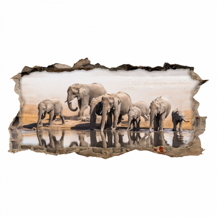 nikima - 098 Wandtattoo Elefanten Familie- Loch in der Wand