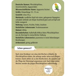 MOSES Expedition Natur 50 Zootiere Karten