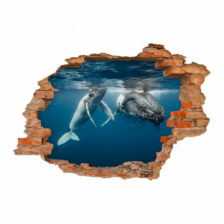 nikima - 101 Wandtattoo Buckelwal Unterwasser - Loch in der Wand