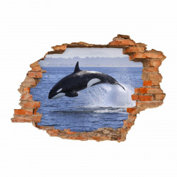 nikima - 102 Wandtattoo Orca Killerwal Schwertwal - Loch in der Wand