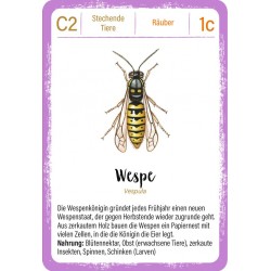 MOSES Quartett Minimonster Insekten Kartenspiel