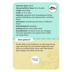 MOSES 50 heimische Strandtiere & Pflanzen - 50 Karten