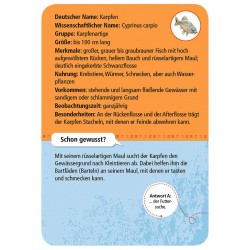 MOSES 50 heimische Tiere & Pflanzen an Bach & Teich - 50 Karten