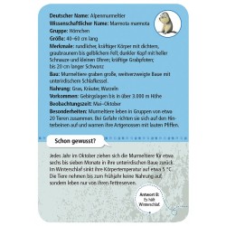 MOSES 50 heimische Tiere & Pflanzen im Gebirge - 50 Karten