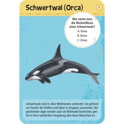 MOSES 50 Meerestiere - 50 Karten Krake Wal Hai Delfin
