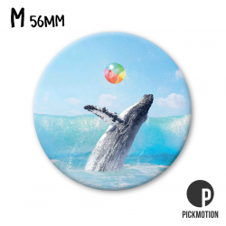 Pickmotion M-Magnet Wal mit bunten Ball