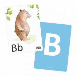 Buchstabenkarte B wie Bär