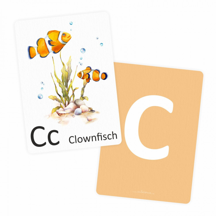 Buchstabenkarte - C wie Clownfisch