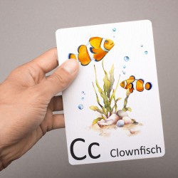 Buchstabenkarte - C wie Clownfisch