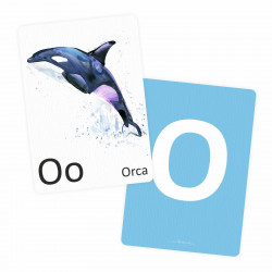 Buchstabenkarte - O wie Orca
