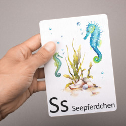 Buchstabenkarte - S wie Seepferdchen