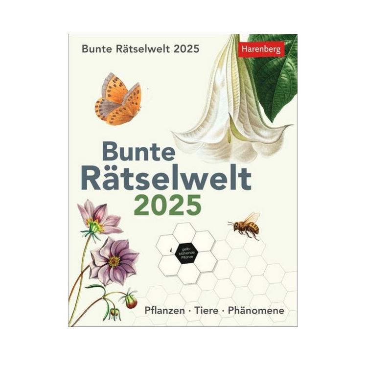 bunte Rätselwelt 2025 Tagesabreißkalender Tischkalender