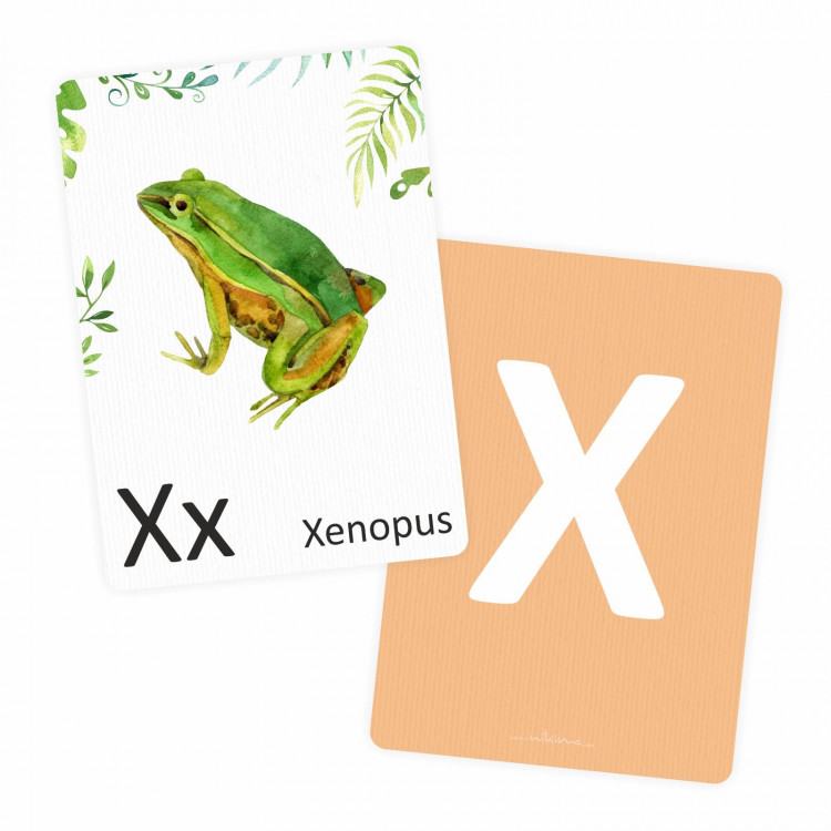 Buchstabenkarte - X wie Xenopus
