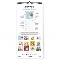 Pickmotion Familienplaner Katz & Kater Kalender 2025