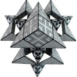 Shashibo Cube - "BLACK AND WHITE" Magnetwürfel 3D Puzzle