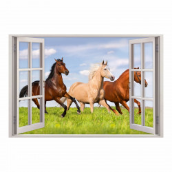 157 Wandtattoo Fenster - Pferde auf Wiese