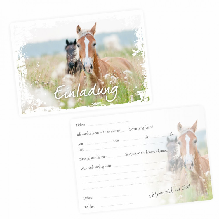 5 Einladungskarten Pferde weißer Rahmen inkl. 5 transparenten Briefumschlägen
