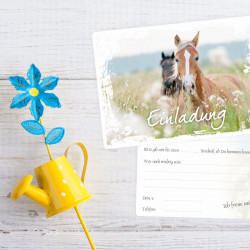 5 Einladungskarten Pferde weißer Rahmen inkl. 5 transparenten Briefumschlägen
