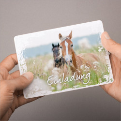 1 Einladungskarte Pferde weißer Rahmen inkl. 1 transparenten Briefumschlag