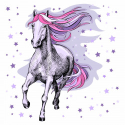 172 Wandtattoo Pferd rosa lila flieder Sterne