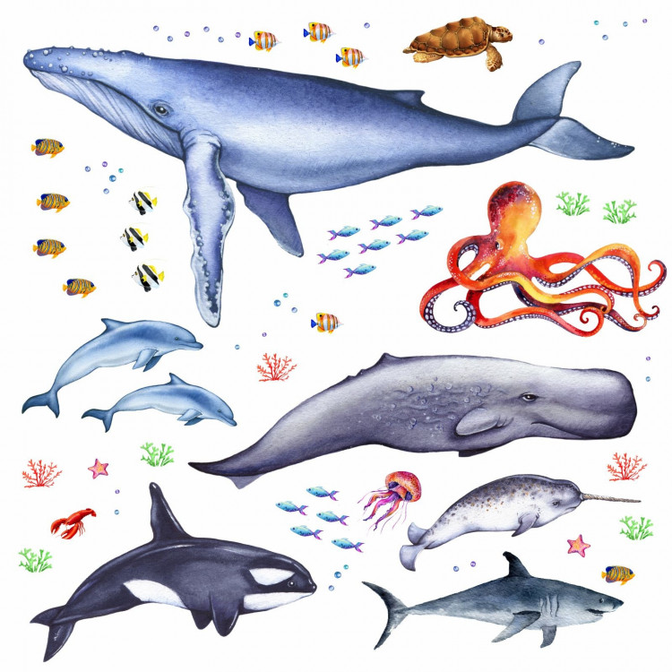 166 Wandtattoo Tiere der Meere - Blauwal, Hai, Delfin, Orca