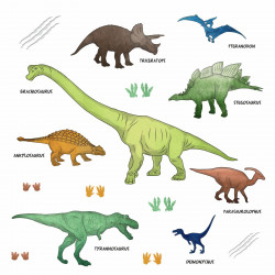 170 Wandtattoo Dinosaurier T-Rex, Triceratops, Stegosaurus