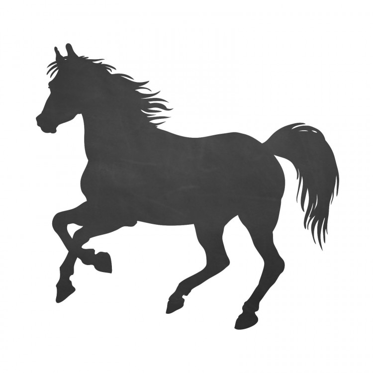 007 Pferd 2 - selbstklebende Tafelfolie/ Kreidefolie inkl. 3 Stück Kreide