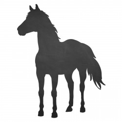 006 Pferd - selbstklebende Tafelfolie/ Kreidefolie inkl. 3 Stück Kreide