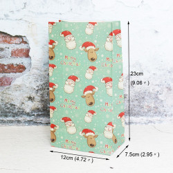 5 Papiertüten Weihnachtsmann| H 23cm - 7,5 x 12cm | Geschenktüte Weihnachten Adventskalender DIY