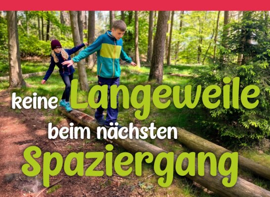 Keine Lust auf Spazierengehen? Mit unseren Kidsventur Cards wird der Herbstspaziergang zum Abenteuer! - Kidsventur Cards – Outdoor-Suchspiel für Kinder | nikima
