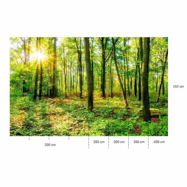 Fototapete Forêt - Papier Peint Intissé Pour Chambre D'enfant - Motif Animaux Moderne