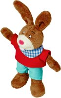 CS Stups, der kleine Osterhase Buch mit Plüschhase Kuscheltier Pappbuch