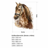 085 Wandtattoo Pferd Kopf - 750 x 980 mm