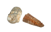 MOSES Expedition Natur Mini Ausgrabungsset vers. Varianten - Variante funkelnde Mineralien