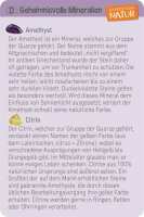 MOSES Expedition Natur Mini Ausgrabungsset vers. Varianten - Variante Schädel