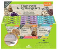 MOSES Expedition Natur Mini Ausgrabungsset vers. Varianten - Variante Schädel