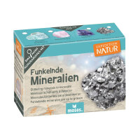 MOSES Expedition Natur Mini Ausgrabungsset vers. Varianten - Variante Schädel