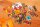 PEGASUS Bomb Busters Spiel des Jahres 2025 Kooperatives Deduktionsspiel mit 66 Missionen