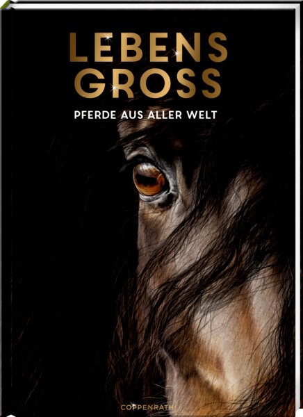CS Lebensgroß - Pferde aus aller Welt Buch 56 Seiten