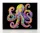 DIAMOND DOTZ Diamond Painting Neon Oktopus